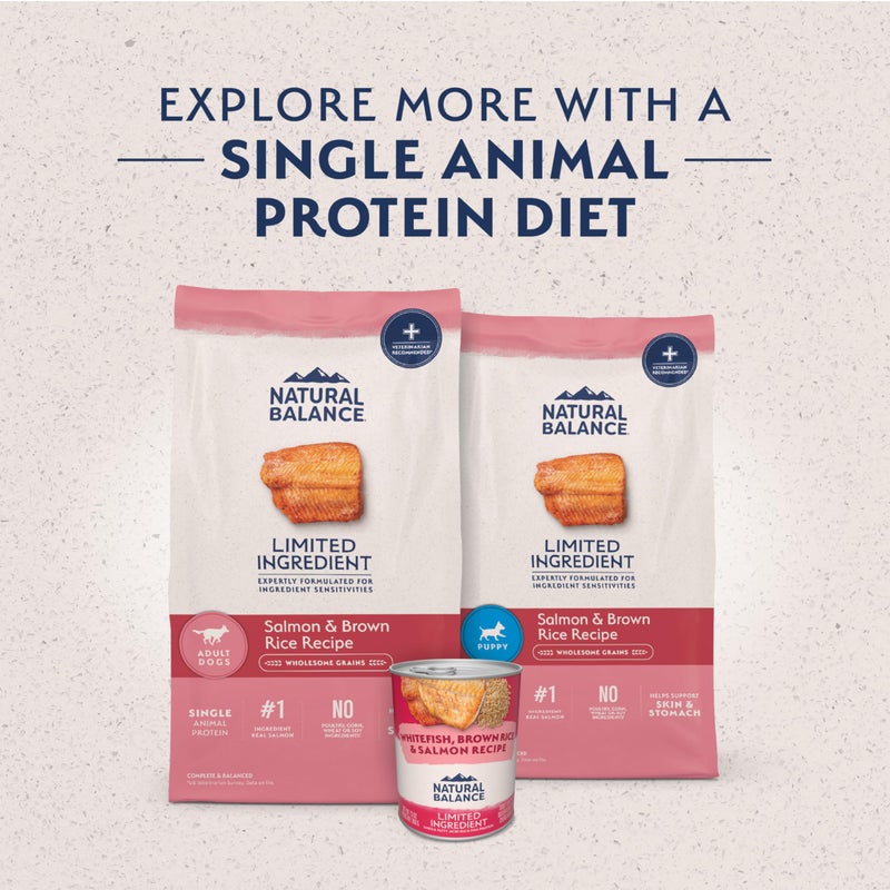 Natural Balance Limited Ingredient Adult Dry Dog Food with Healthy Grains, Salmon & Brown Rice Recipe, 4 Pound (Pack of 1) - Image 5